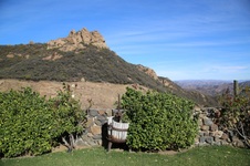 Enlarge photo 38