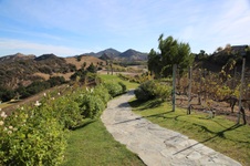 Enlarge photo 40