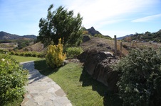 Enlarge photo 41