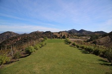 Enlarge photo 43