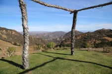 Enlarge photo 53