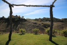 Enlarge photo 55