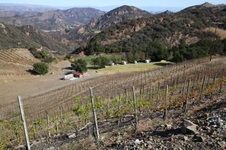 Enlarge photo 56