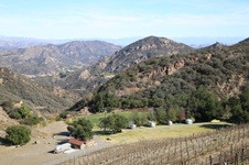 Enlarge photo 57