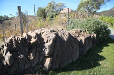 Enlarge photo 61