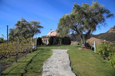 Enlarge photo 62