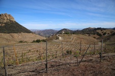 Enlarge photo 64