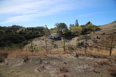 Enlarge photo 67