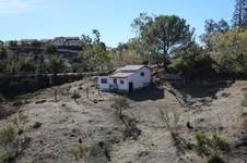 Enlarge photo 68