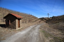 Enlarge photo 71
