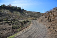 Enlarge photo 74