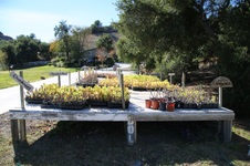 Enlarge photo 112