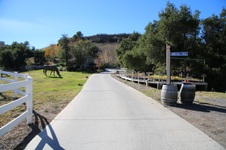 Enlarge photo 114