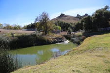 Enlarge photo 116