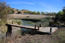 Enlarge photo 119
