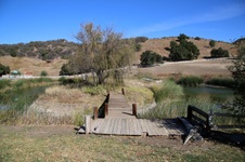 Enlarge photo 120