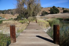 Enlarge photo 121