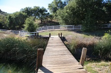 Enlarge photo 124