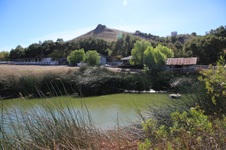 Enlarge photo 127