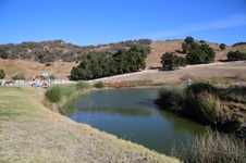 Enlarge photo 132