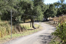 Enlarge photo 133