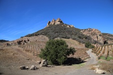 Enlarge photo 156