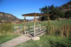 Enlarge photo 164