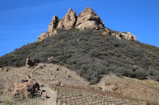 Enlarge photo 174