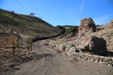 Enlarge photo 176