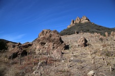 Enlarge photo 177