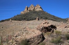 Enlarge photo 179