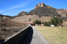 Enlarge photo 181