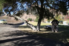 Enlarge photo 183