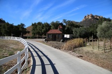 Enlarge photo 185