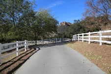 Enlarge photo 187