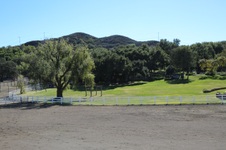 Enlarge photo 190