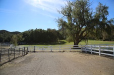 Enlarge photo 195