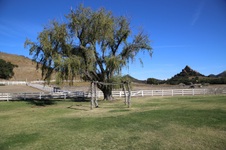 Enlarge photo 198