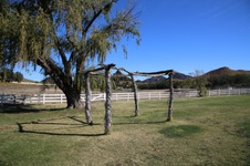 Enlarge photo 199