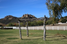 Enlarge photo 200