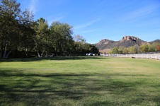 Enlarge photo 202