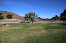 Enlarge photo 209