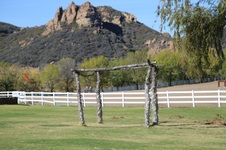 Enlarge photo 213