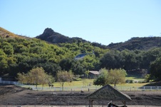 Enlarge photo 216