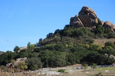 Enlarge photo 219