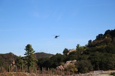 Enlarge photo 220