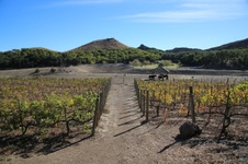 Enlarge photo 225