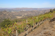 Enlarge photo 232