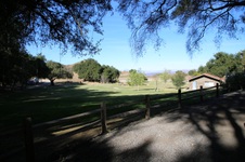 Enlarge photo 240