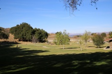 Enlarge photo 243
